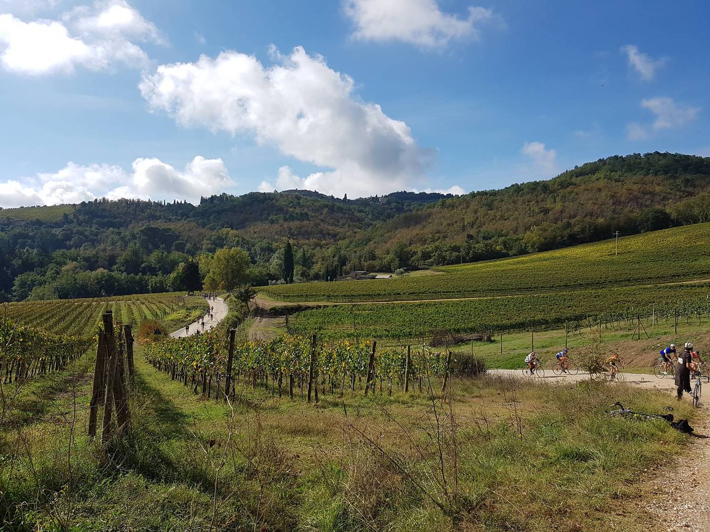 43674831_10216982811552048_6110509113718865920_n