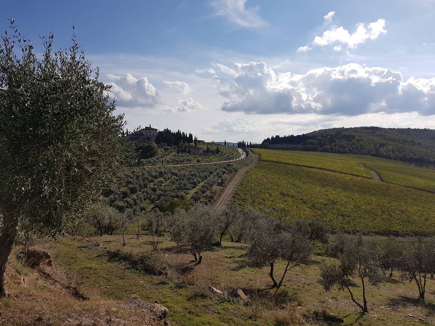 43788451_10216982802311817_7282151160998264832_n