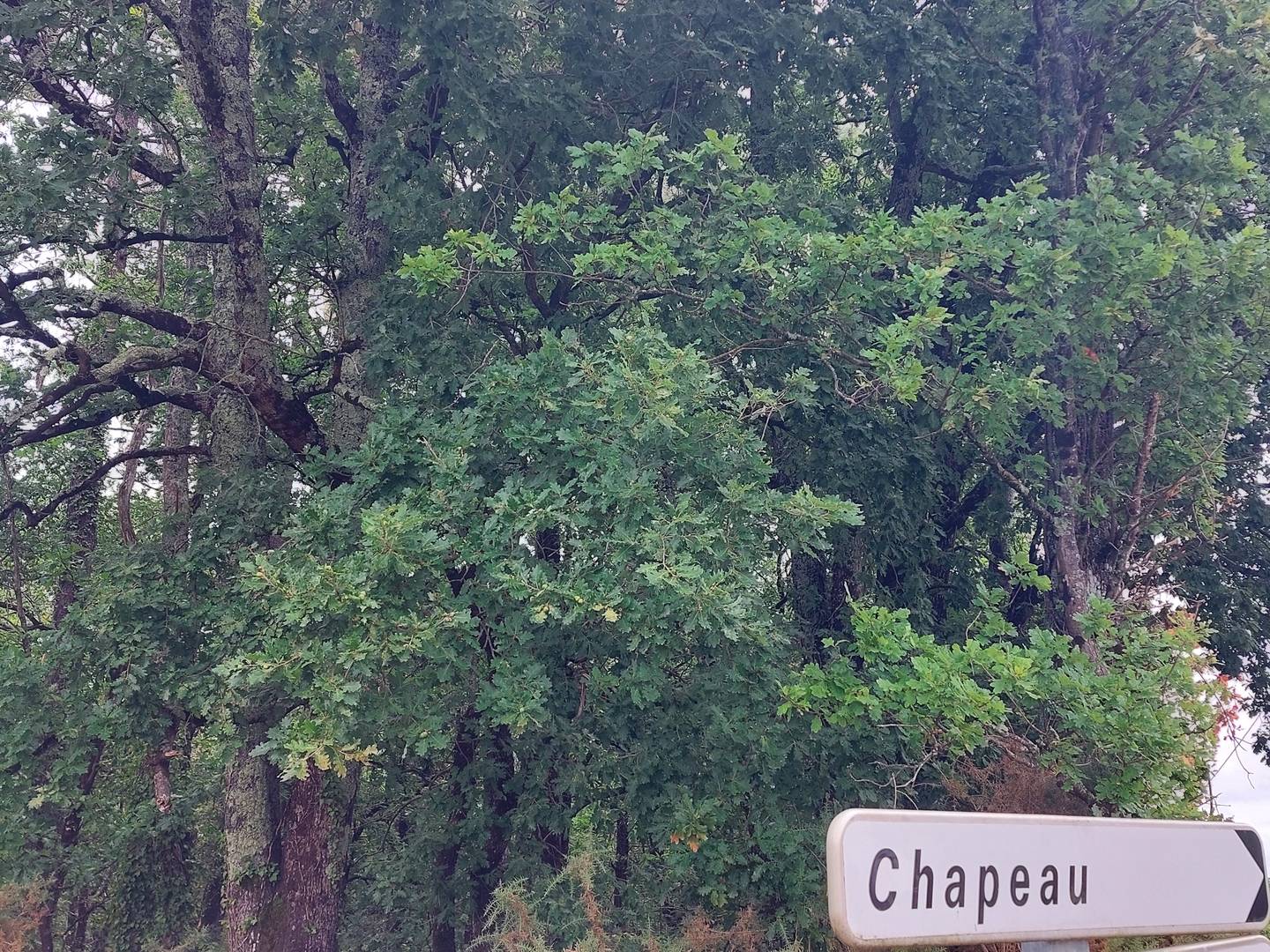 CanalDuMidi5