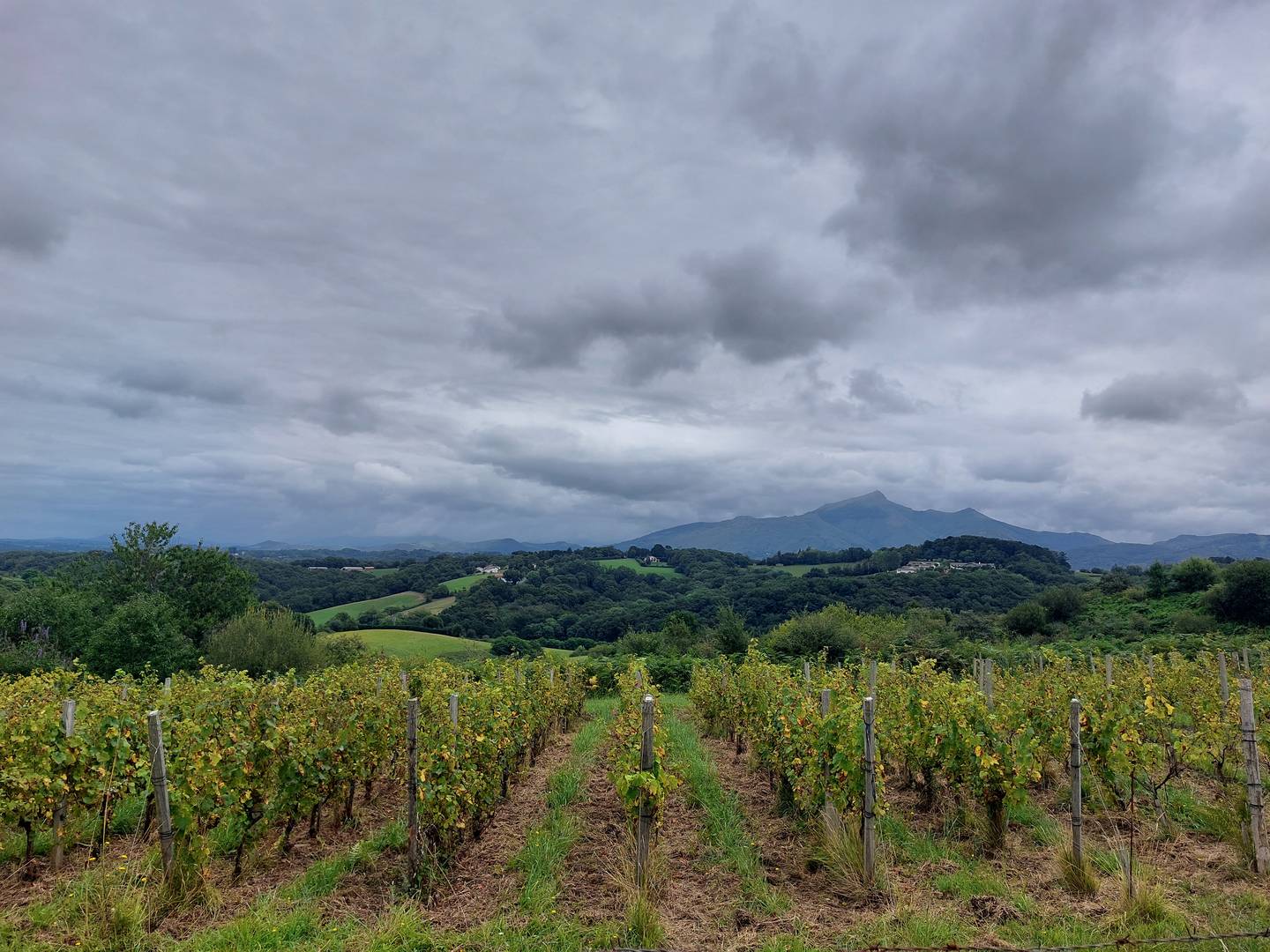 KüsteFrankreich5