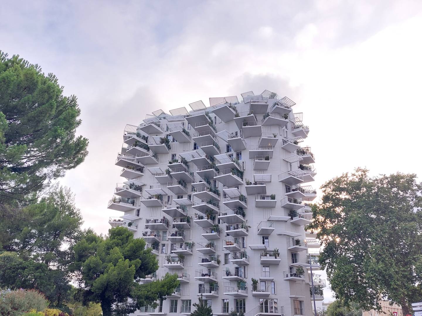 Montpellier6