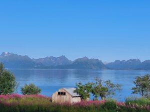 Nordkap24_EtappeLofotenTromso_10