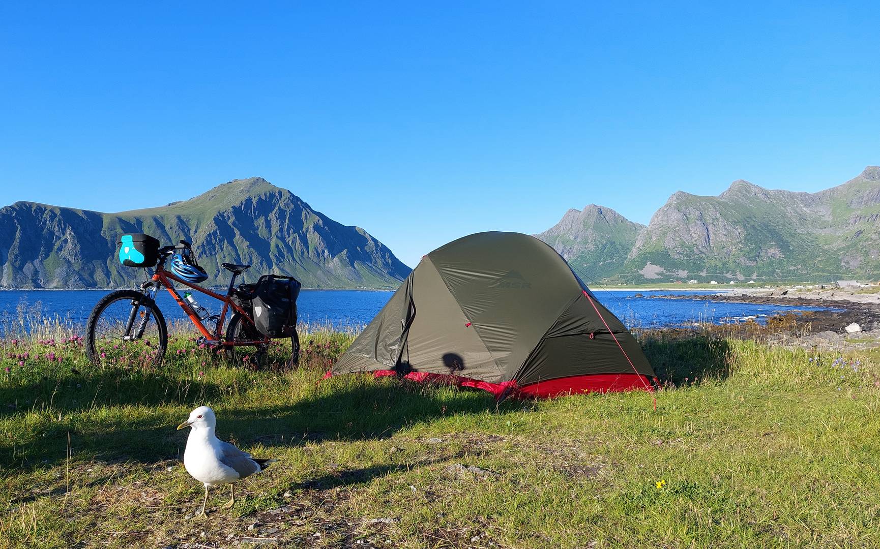 Nordkap24_EtappeLofotenTromso_4