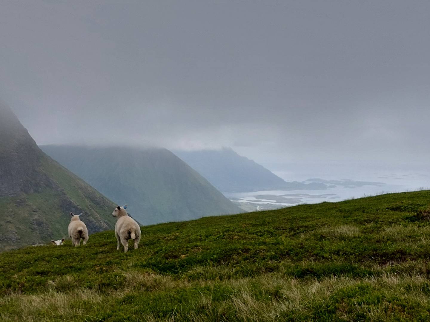 Nordkap24_EtappeLofotenTromso_8