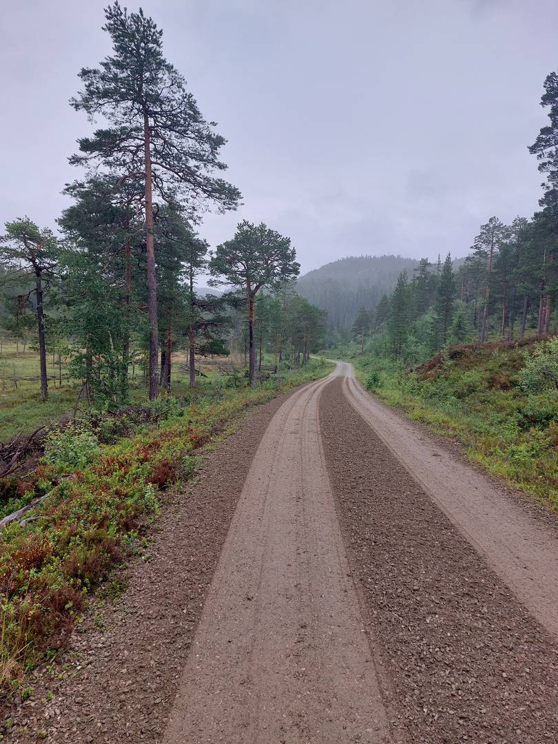 Nordkap24_EtappeOsloTrondheim_5_1