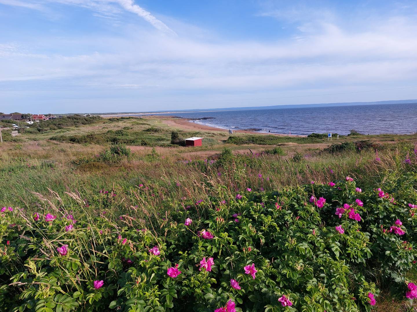 Nordkap24_Schweden5_2